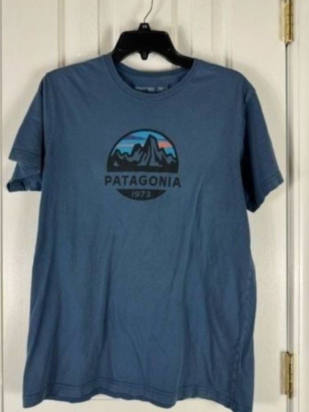Patagonia Blue Short-Sleeve Mountain Graphic Tee